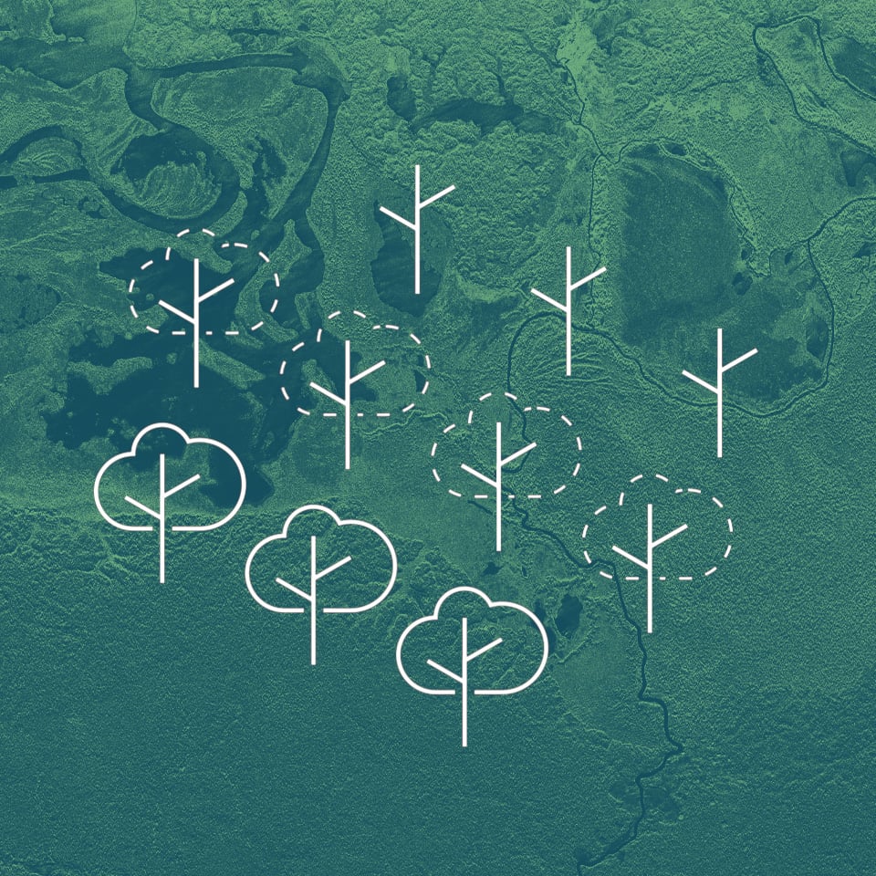 Deforestation And Forest Degradation Monitoring With Sar Satellite Imagery